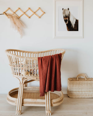 Rust coloured knot blanket draped over ratton bassinet, Horse picture and hanging hooks on the wall in the background